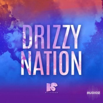 HOOKSHOW Drizzy Nation WAV screenshot