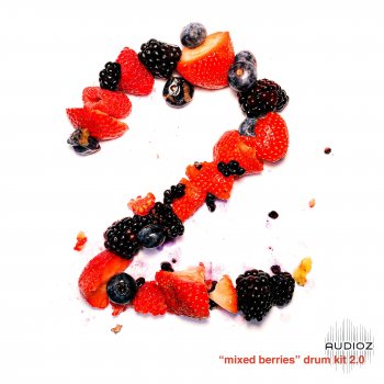 Treesound Records Mike Hector - Mixed Berries Vol.2 Drum Kit WAV screenshot