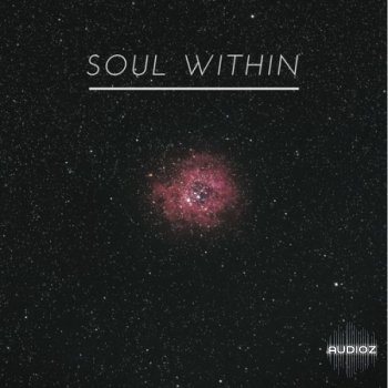 Tariq Ali Soul Within WAV screenshot