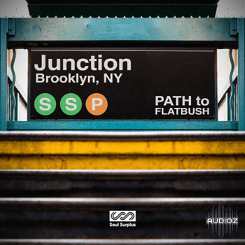 Soul Surplus Junction WAV screenshot