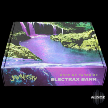 Jay Nasty Codeine Paradise (ElectraX Bank)-P2P screenshot