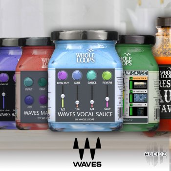 Whole Loops - Waves Sauce Bundle (Mixing And Mastering Presets Pack For WAVES 10/11) screenshot