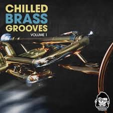 REQ: Vanilla Groove Studios Chilled Brass Grooves Vol 1 screenshot REQ: Vanilla Groove Studios Chilled Brass Grooves Vol 1 screenshot