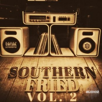 Divided Souls Southern Fried Volume 2 WAV screenshot