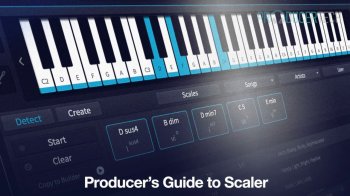 Producertech Producer's Guide to Scaler TUTORiAL screenshot