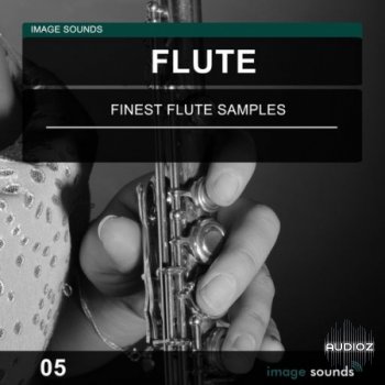Image Sounds Flute 05 WAV screenshot