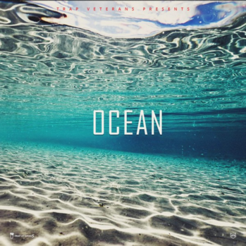 Trap Veterans Ocean WAV-DISCOVER screenshot Trap Veterans Ocean WAV-DISCOVER screenshot