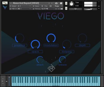 Rigid Audio Viego KONTAKT screenshot