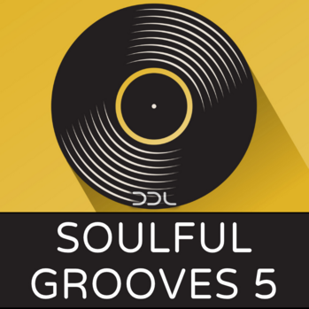 Deep Data Loops Soulful Grooves 5 WAV MiDi-DISCOVER screenshot Deep Data Loops Soulful Grooves 5 WAV MiDi-DISCOVER screenshot
