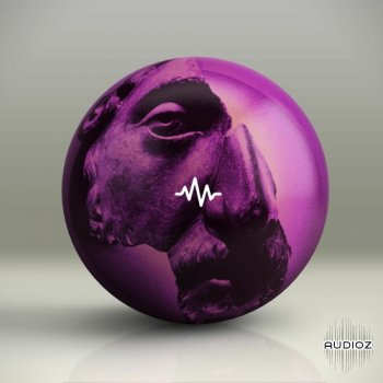 WavSupply mjNichols Magenta Vol. 4 (Loop Kit) WAV screenshot