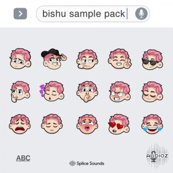Splice Bishu Sample Pack WAV screenshot