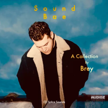 Splice Sound Bae A Collection by Brey WAV screenshot