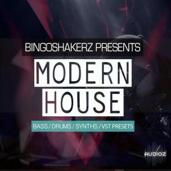 Bingoshakerz Modern House MULTiFORMAT-DECiBEL screenshot