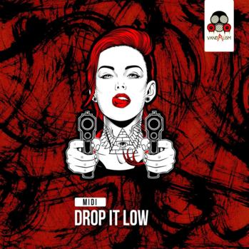 Vandalism Drop It Low MiDi-DISCOVER screenshot Vandalism Drop It Low MiDi-DISCOVER screenshot