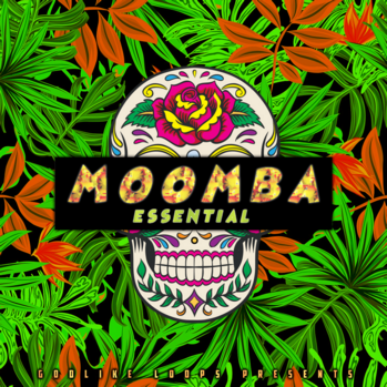 Godlike Loops Moomba Essential WAV MiDi-DISCOVER screenshot Godlike Loops Moomba Essential WAV MiDi-DISCOVER screenshot