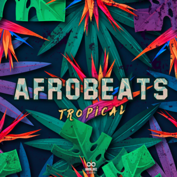 Godlike Loops Afrobeats Tropical WAV MiDi-DISCOVER screenshot Godlike Loops Afrobeats Tropical WAV MiDi-DISCOVER screenshot