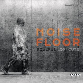 REQ: UEBERSCHALL Noise Floor Soulful LoFi Cuts screenshot