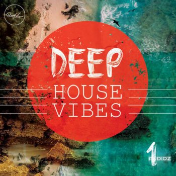 Roundel Sounds Deep House Vibes Vol 1 MULTiFORMAT-DECiBEL screenshot