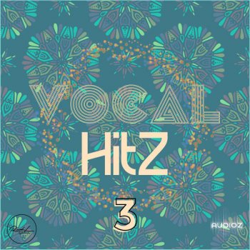 Roundel Sounds Vocal Hits Vol 3 MULTiFORMAT-DECiBEL screenshot
