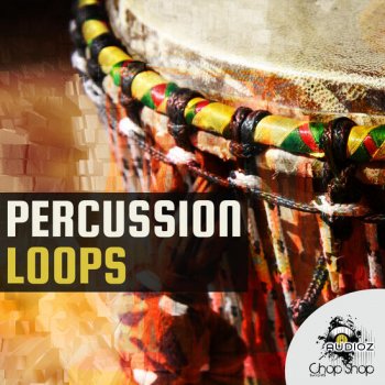 Chop Shop Samples Percussion Loops WAV-DECiBEL screenshot