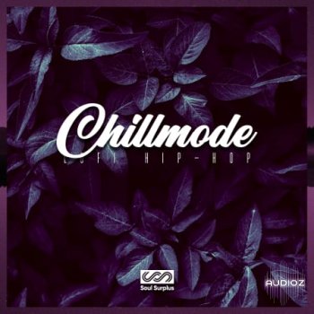 Soul Surplus Chillmode Lofi Hip Hop WAV-FLARE screenshot