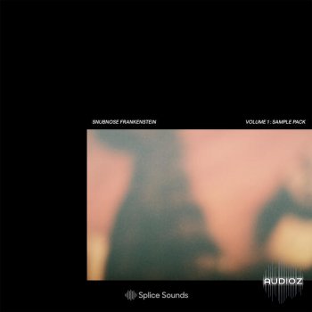Splice Snubnose Frankenstein Sample Pack WAV-DECiBEL screenshot