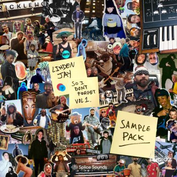 Splice Linden Jay So I Dont Forget Sample Pack WAV-DECiBEL screenshot