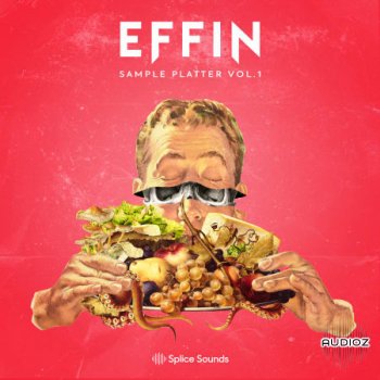Splice Effin Sample Platter Vol. 1 WAV-FLARE screenshot