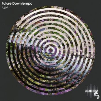 Sample Magic Future Downtempo WAV-FLARE screenshot