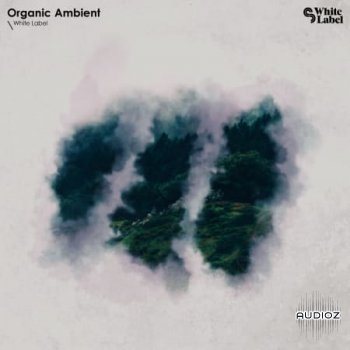 Sample Magic Organic Ambient WAV-FLARE screenshot