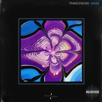 Touch Loops Transcending House MULTiFORMAT-DECiBEL screenshot