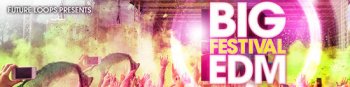 Future Loops Big Festival EDM MULTiFORMAT-DECiBEL screenshot