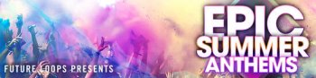 Future Loops Epic Summer Anthems MULTiFORMAT-DECiBEL screenshot