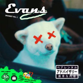 EVANS Drum Kit VOL.1 (2020) WAV screenshot