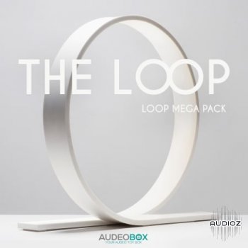 AudeoBox The Loop WAV-FLARE screenshot