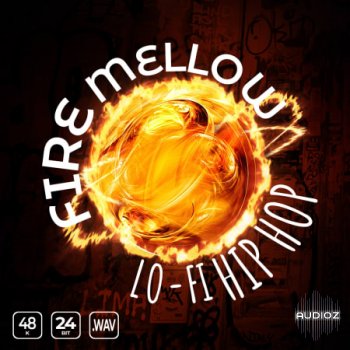 Epic Stock Media Fire Mellow Lofi Hip Hop WAV-FLARE screenshot