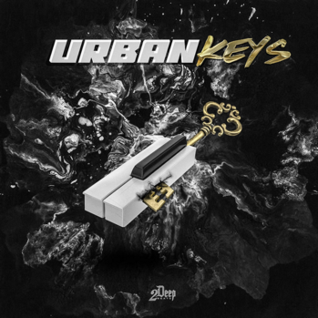 2DEEP Urban Keys WAV MiDi-DISCOVER screenshot 2DEEP Urban Keys WAV MiDi-DISCOVER screenshot