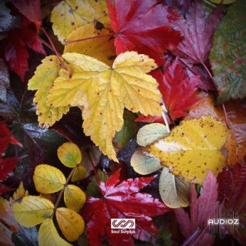Soul Surplus Autumn Bliss WAV-FLARE screenshot