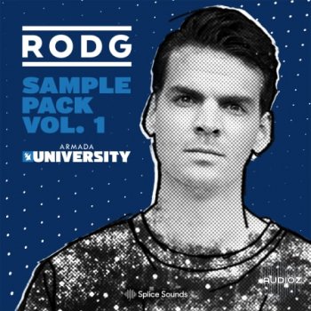 Splice RODG Sample Pack Vol. 1 MULTiFORMAT-FLARE screenshot