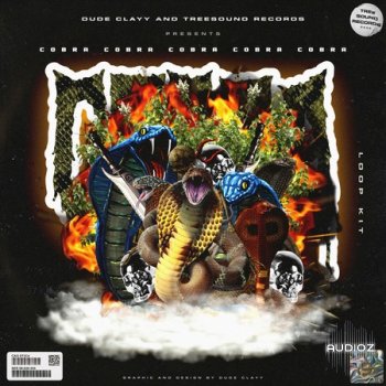 Dude Clayy Cobra (Loop Kit) WAV-FANTASTiC screenshot