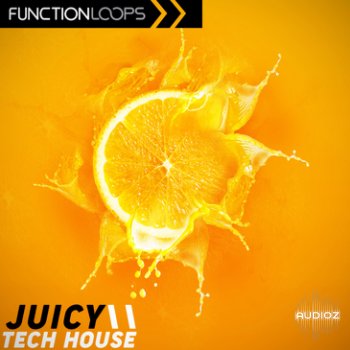 Function Loops Juicy Tech House MULTiFORMAT-FLARE screenshot