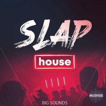 Big Sounds Slap House MULTiFORMAT-FLARE screenshot