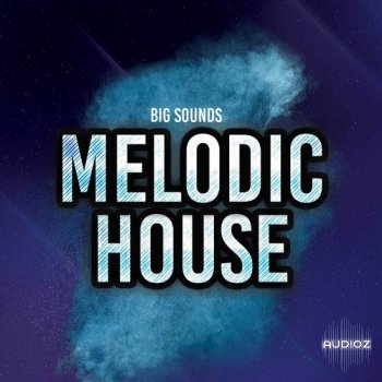 Big Sounds Melodic House MULTiFORMAT-DECiBEL screenshot