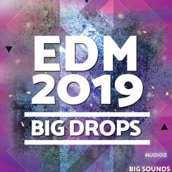 Big Sounds EDM 2019 Big Drops MULTiFORMAT-DECiBEL screenshot