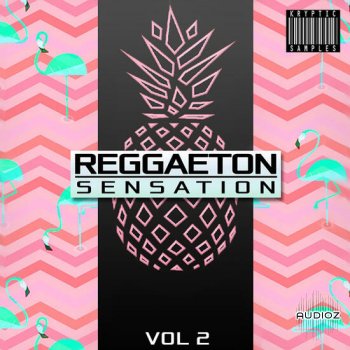 Kryptic Reggaeton Sensation Vol 2 MULTiFORMAT-DECiBEL screenshot