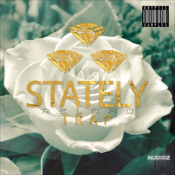 Kryptic Stately Trap Reload 3 MULTiFORMAT-DECiBEL screenshot