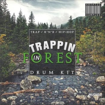 Kryptic Trappin In Forest WAV-DECiBEL screenshot