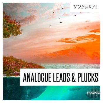 Concept Samples Analogue Leads and Plucks WAV-DECiBEL screenshot