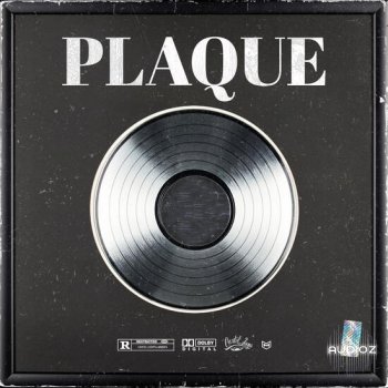 Cartel Loops Plaque MULTiFORMAT-DECiBEL screenshot