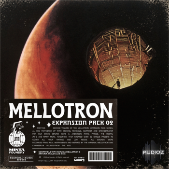 Minta Foundry Mellotron Expansion Pack 02 For Analog Lab 4 and 5-FANTASTiC screenshot